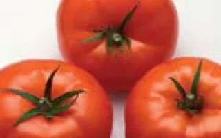 Нергаль РЦ F1