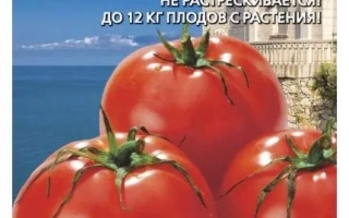 Пакет семян томата «Новый Принц» с изображением красных помидоров и замка.