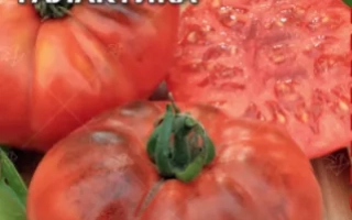 Огненная Галактика