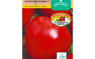 Огненное Сердце