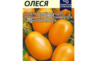 Пакет семян томата Олеся с изображением оранжевых плодов