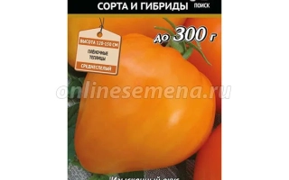 Помаранчеве Серце