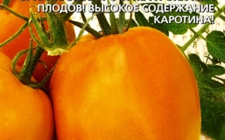 Пакет семян томата Оранжевый Авюри