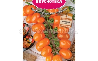 Оранжевый Фонтан