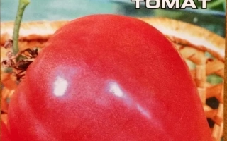 Пакет семян томата Орлиный Ключ с изображением красного томата - ОРЛИНЫЙ КЛЮВ