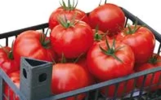 Остоженка F1