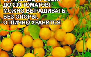 Ожерелье Желтое