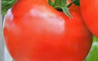 Семена томата Паладин на упаковке с изображением спелых плодов