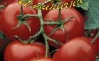 ПАМЯТИ МАРИСА F1