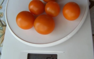 Томаты на весах - ПАРУЧ