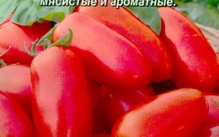 Перцовка