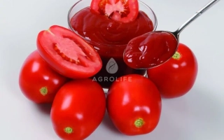 Перфект МС3 F1