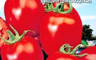 Красные томаты сорта Петровский на упаковке семян