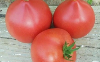 Пинк Форвард