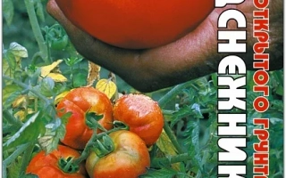 Пакет семян томата Подснежник с изображением спелых и зеленых плодов