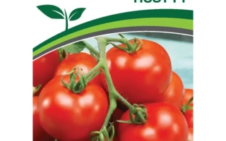 Пакет семян томата ПОЭТ F1 с изображением спелых плодов