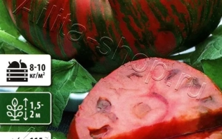 Полосатый Шоколад