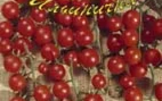 ПОПУГАЙЧИК F1