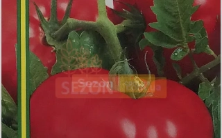 Пакет семян томата Посейдон F1 с изображением спелых красных помидоров