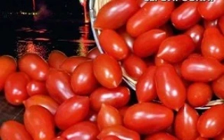 Пакет семян томата Праздничный