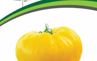 Прелесть Роузы