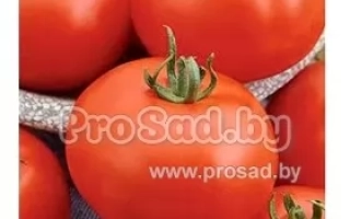 Приполярний