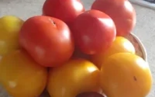 Радуга Кубани