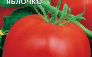 Райское Яблочко