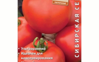 Ранняя Пташка