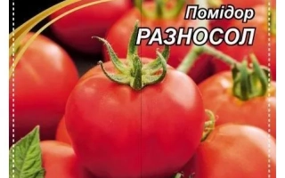 Разносол