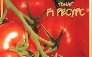 Пакет семян томата Ресурс с изображением спелых плодов