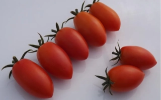 РІО Бамбіно