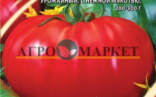 Родимый Погребок