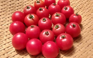 Красные томаты на плетеной подложке - РОСИТА