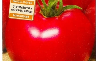 Пакет семян томата Розанна F1