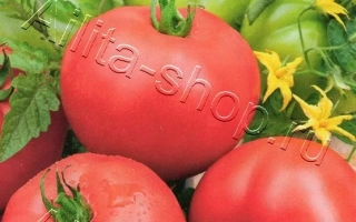 Пакет семян томата Розовая Андромеда F1 с изображением красных плодов