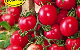 Розовая Гирлянда