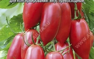 Розовая Свечка