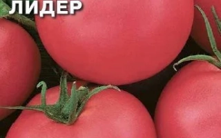 Рожевий Лідер