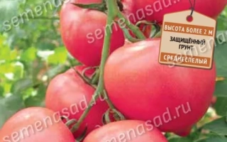 Розовый Носик