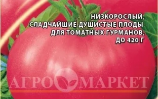 Рожевий Світанок