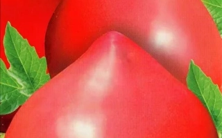 Розовый Стиль