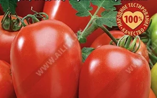 Рубиновый Кулон