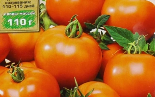 Пакет семян томата Русский гостинец F1