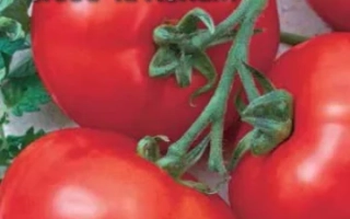 Сахар Красный