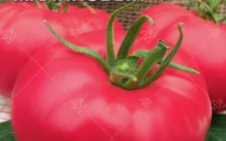 Сахар Малиновый