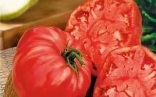 Самбол Розовый