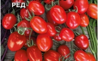 Самчеррито РЕД