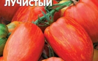 Томат F1 Самоцвет Лучистый на упаковке семян