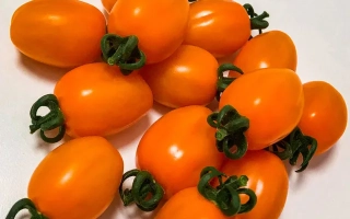 Санти Наранья